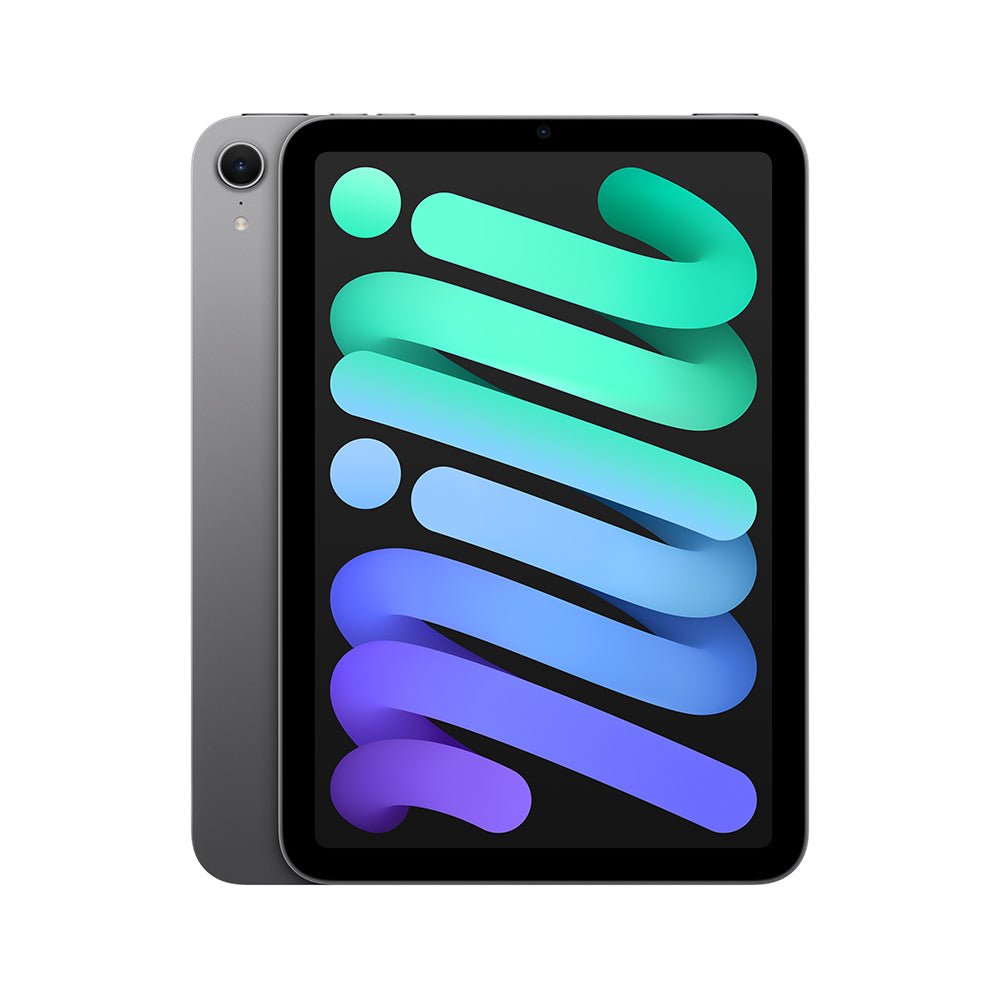 iPad mini Gris espacial